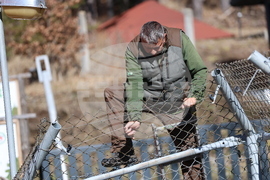 Парк за мечки Белица - спасителна мисия