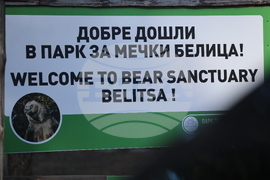 Парк за мечки Белица - спасителна мисия