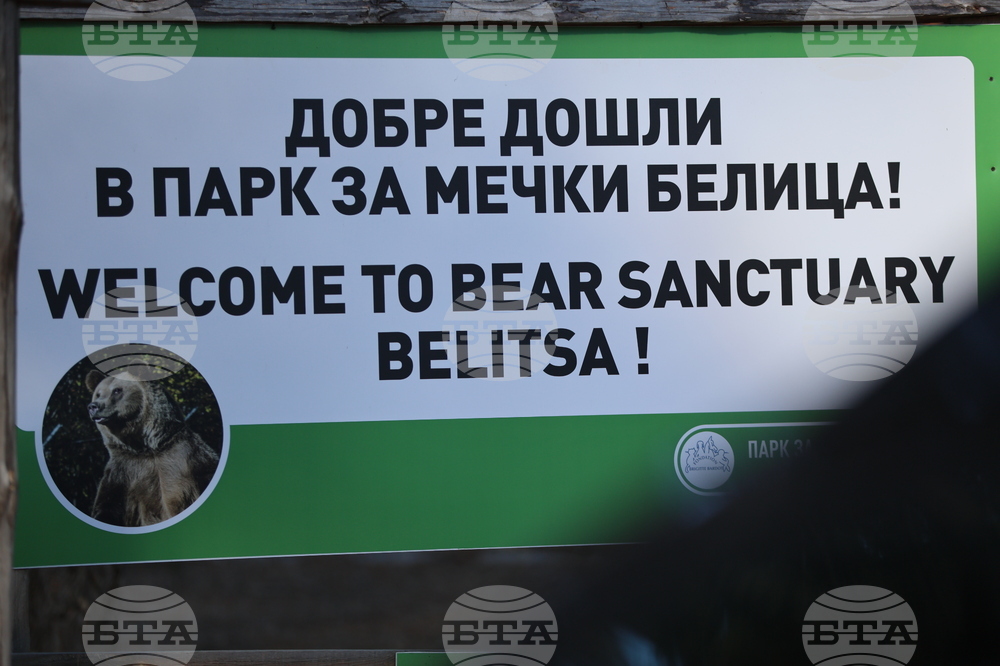 Парк за мечки Белица - спасителна мисия