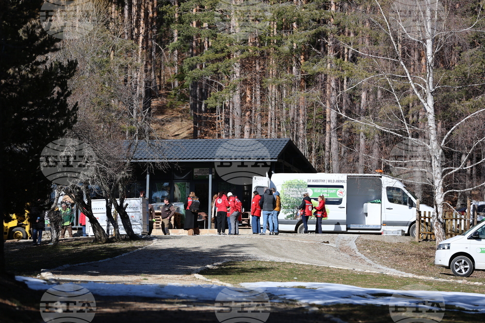 Парк за мечки Белица - спасителна мисия