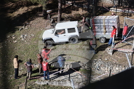 Парк за мечки Белица - спасителна мисия