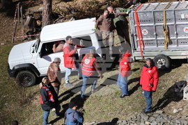 Парк за мечки Белица - спасителна мисия