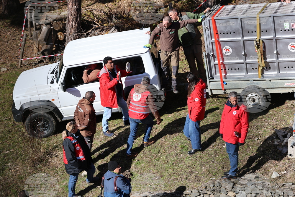 Парк за мечки Белица - спасителна мисия