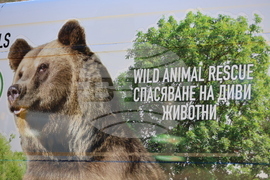 Парк за мечки Белица - спасителна мисия