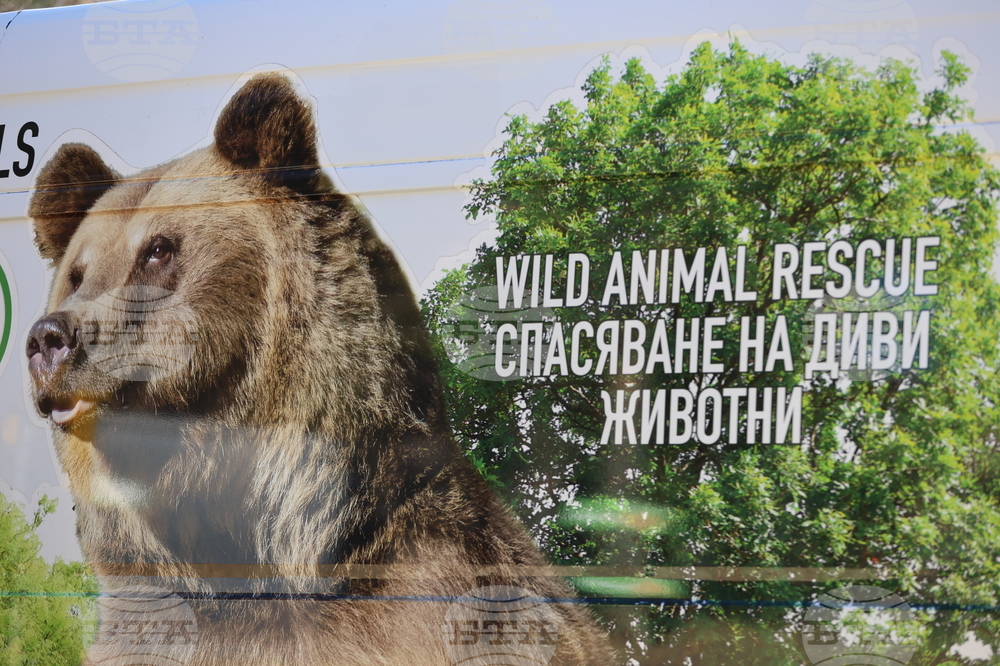 Парк за мечки Белица - спасителна мисия