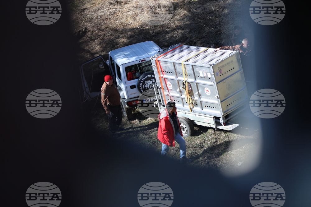 Парк за мечки Белица - спасителна мисия