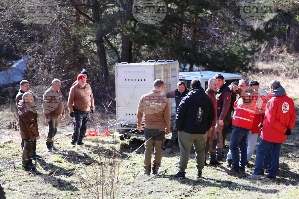 Парк за мечки Белица - спасителна мисия