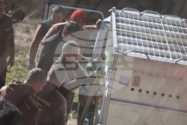 Парк за мечки Белица - спасителна мисия