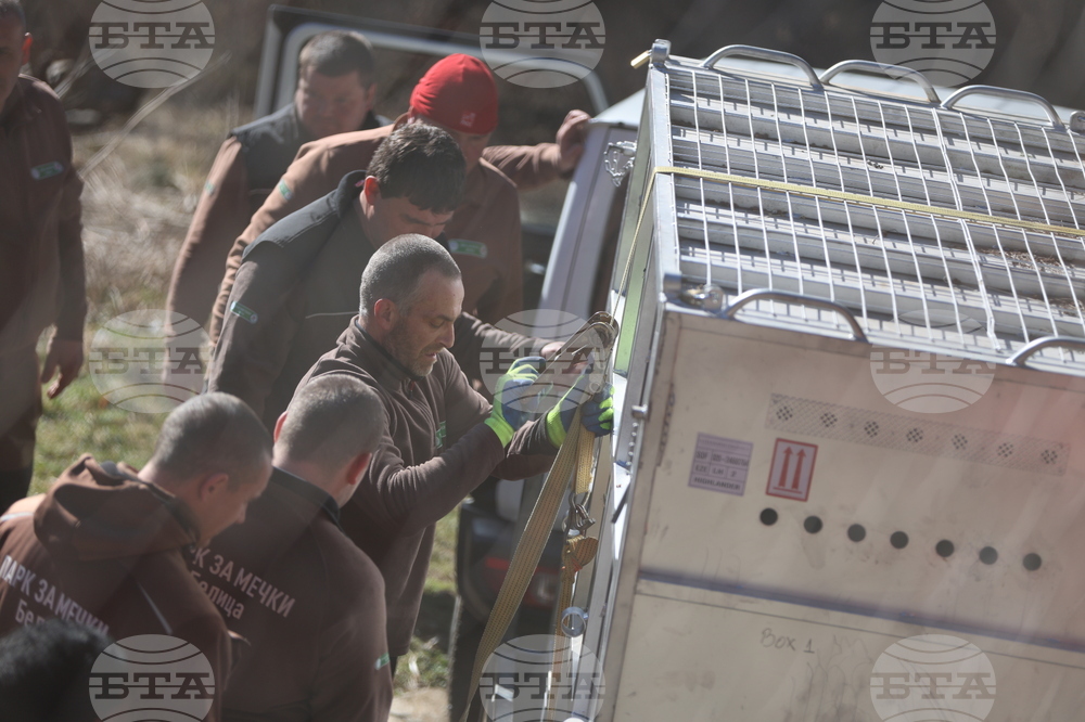 Парк за мечки Белица - спасителна мисия