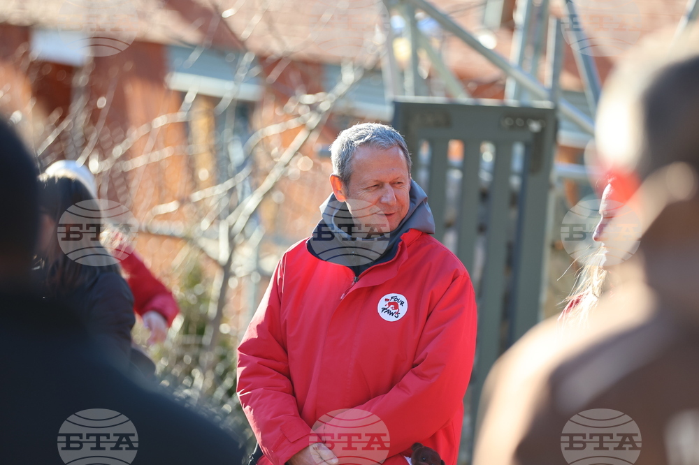 Парк за мечки Белица - спасителна мисия