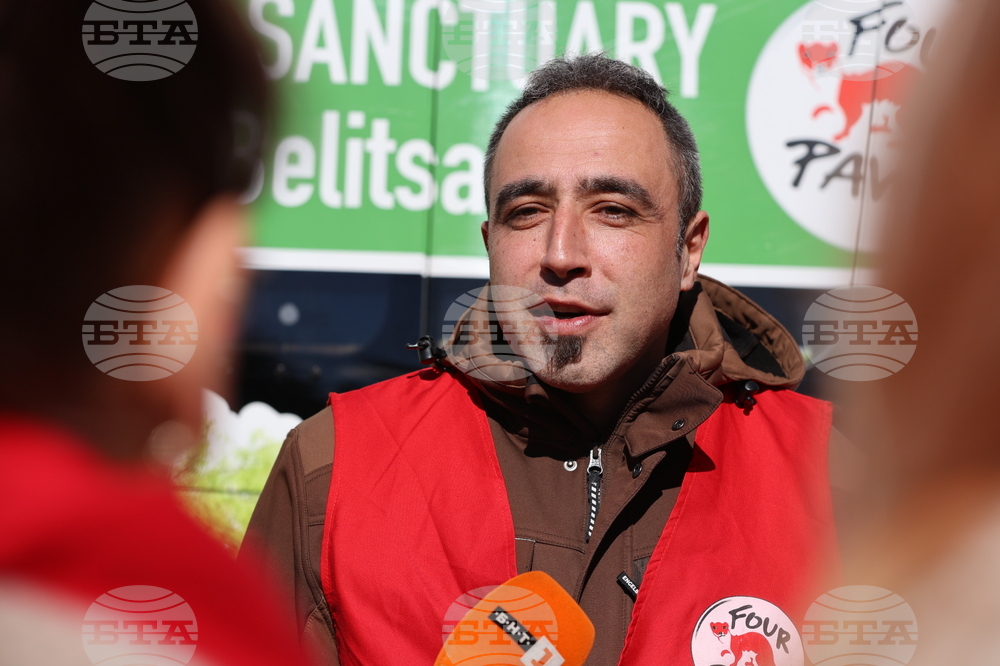 Парк за мечки Белица - спасителна мисия