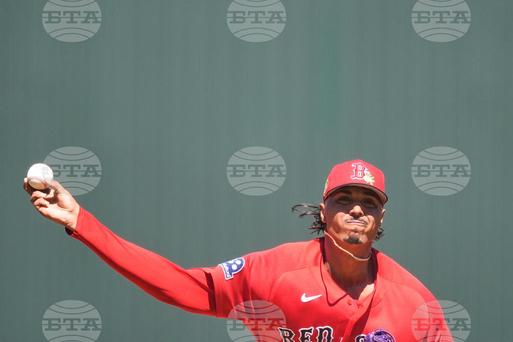Red Sox Twins Spring Baseball