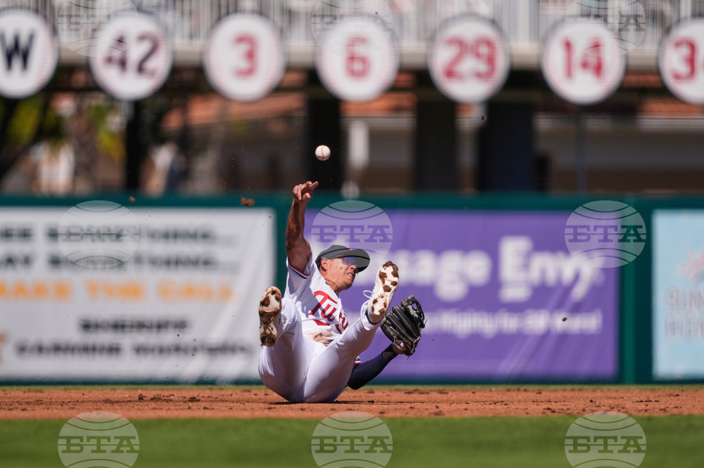 Red Sox Twins Spring Baseball