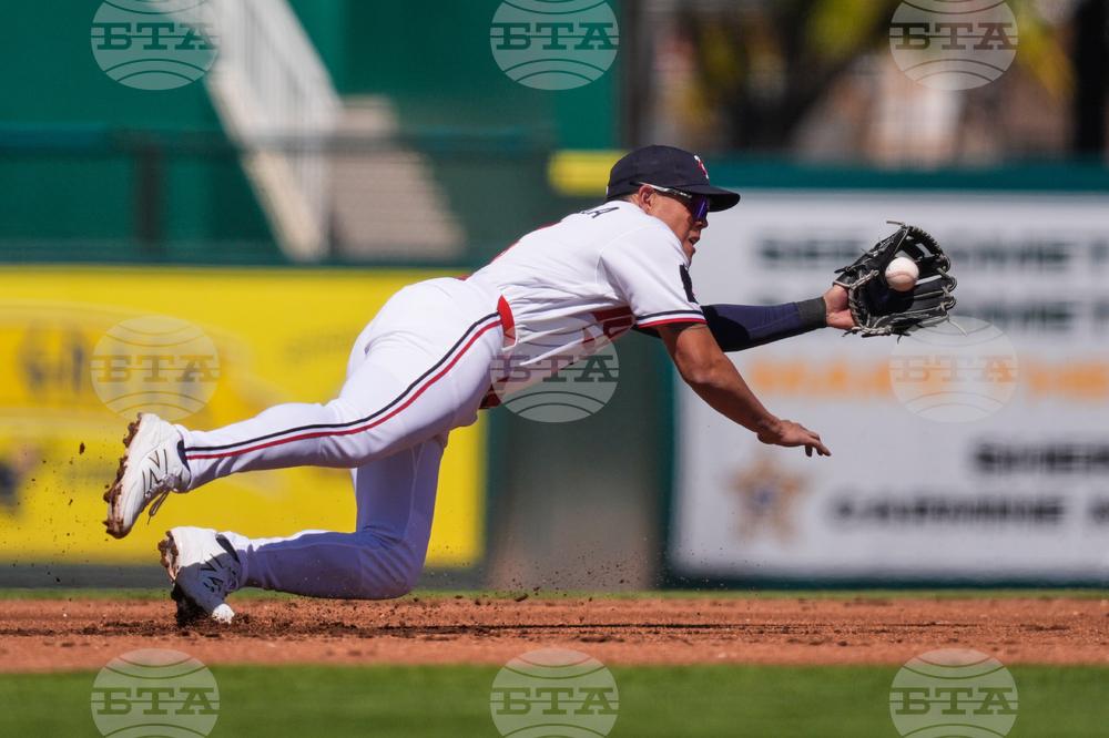 Red Sox Twins Spring Baseball