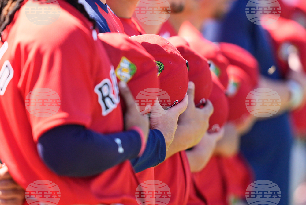 Red Sox Twins Spring Baseball