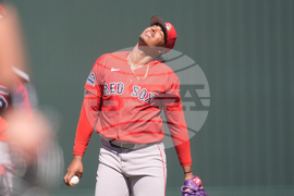 Red Sox Twins Spring Baseball