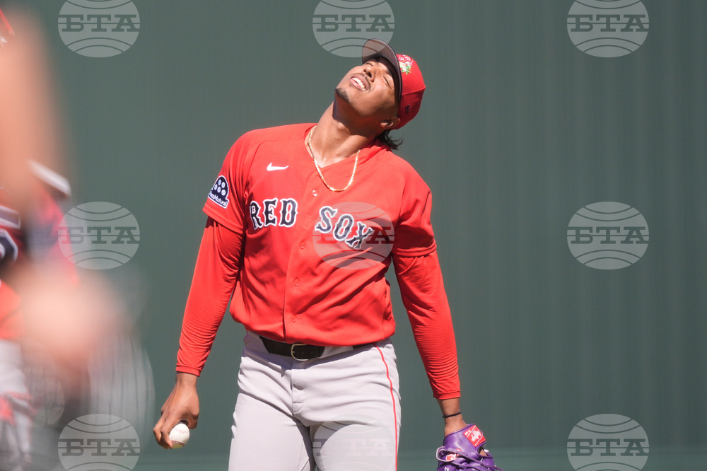 Red Sox Twins Spring Baseball