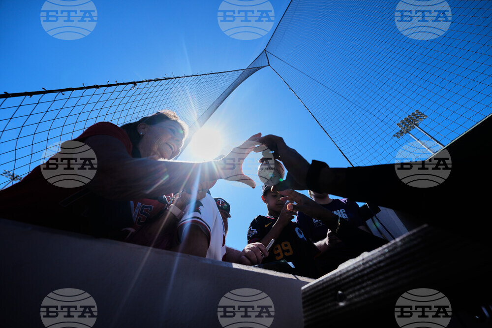 Red Sox Twins Spring Baseball