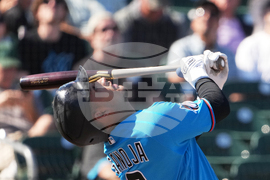 Astros Marlins Spring Baseball