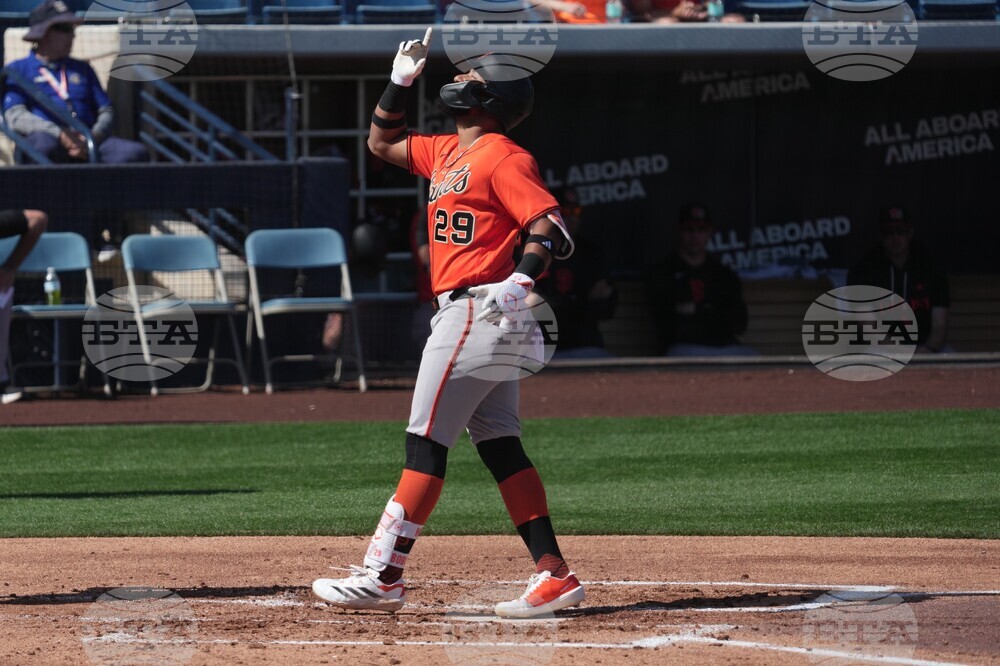 Giants Brewers Spring Baseball