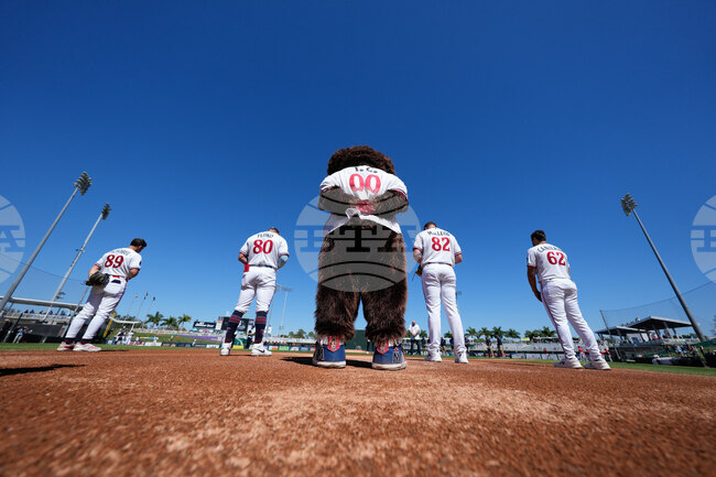 APTOPIX Red Sox Twins Spring Baseball