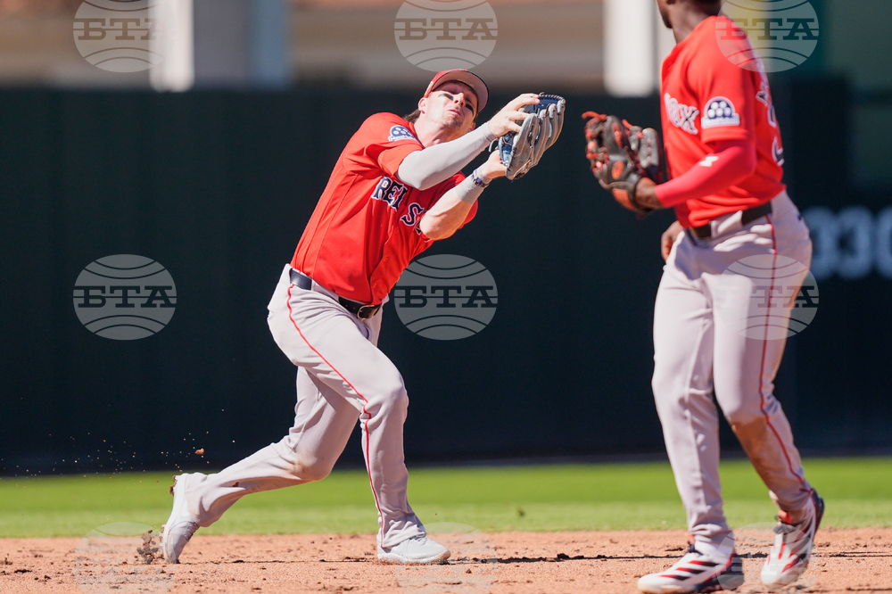 Red Sox Twins Spring Baseball