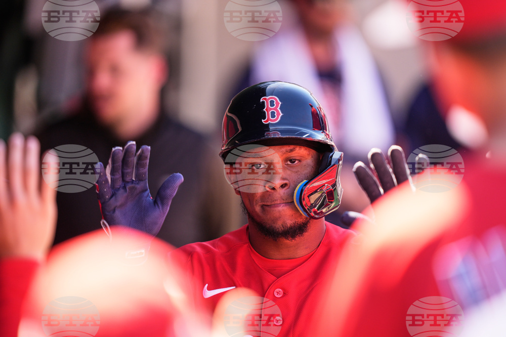 Red Sox Twins Spring Baseball