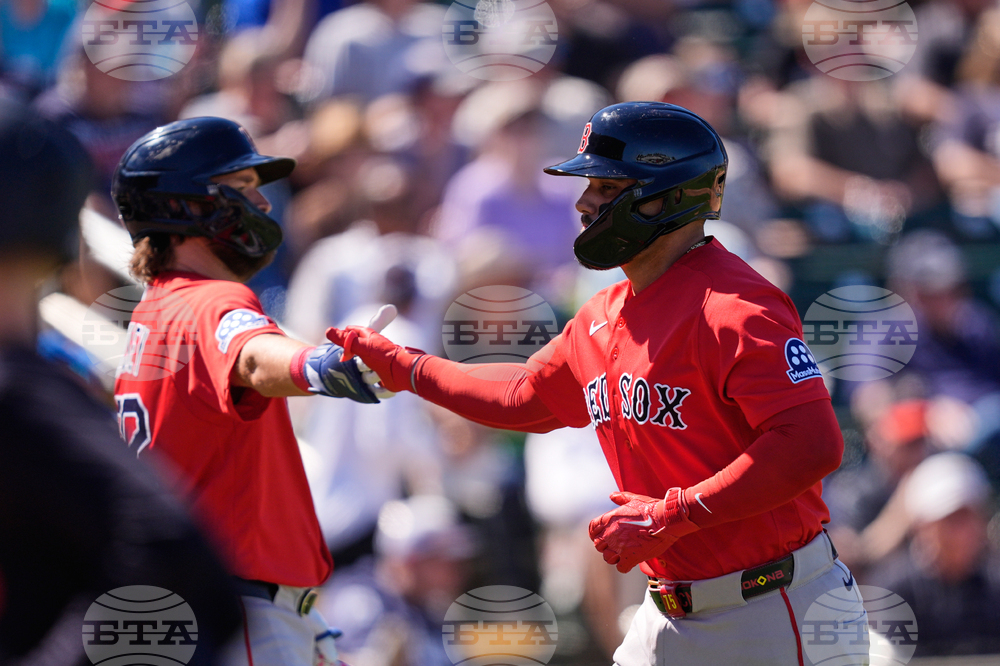 Red Sox Twins Spring Baseball