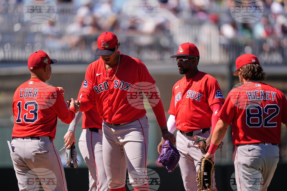 Red Sox Twins Spring Baseball