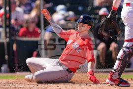 Red Sox Twins Spring Baseball