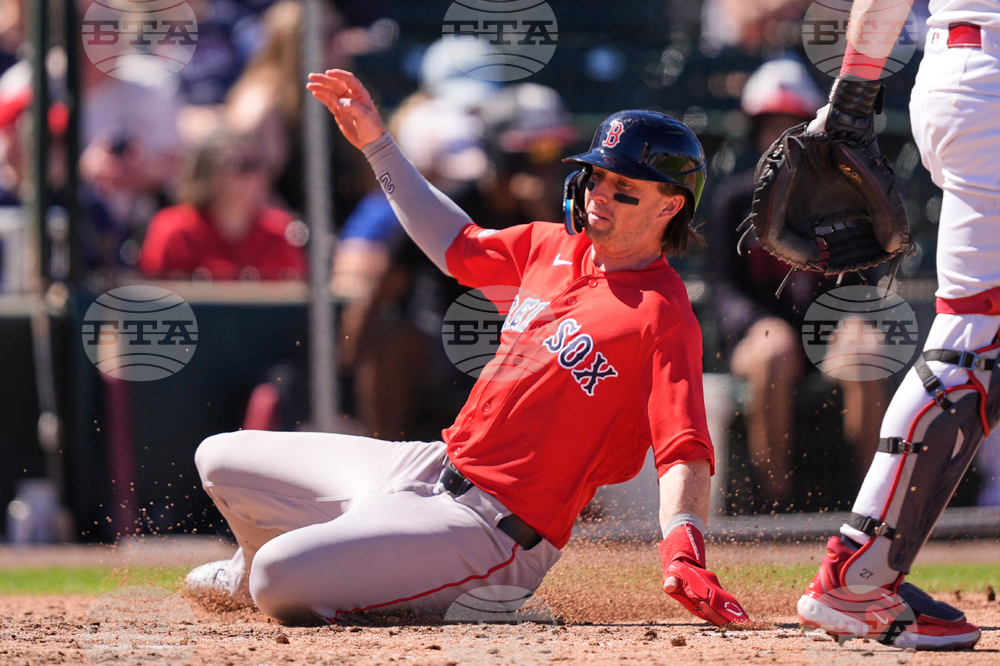 Red Sox Twins Spring Baseball