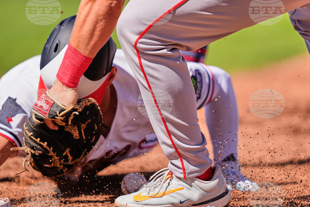 Red Sox Twins Spring Baseball