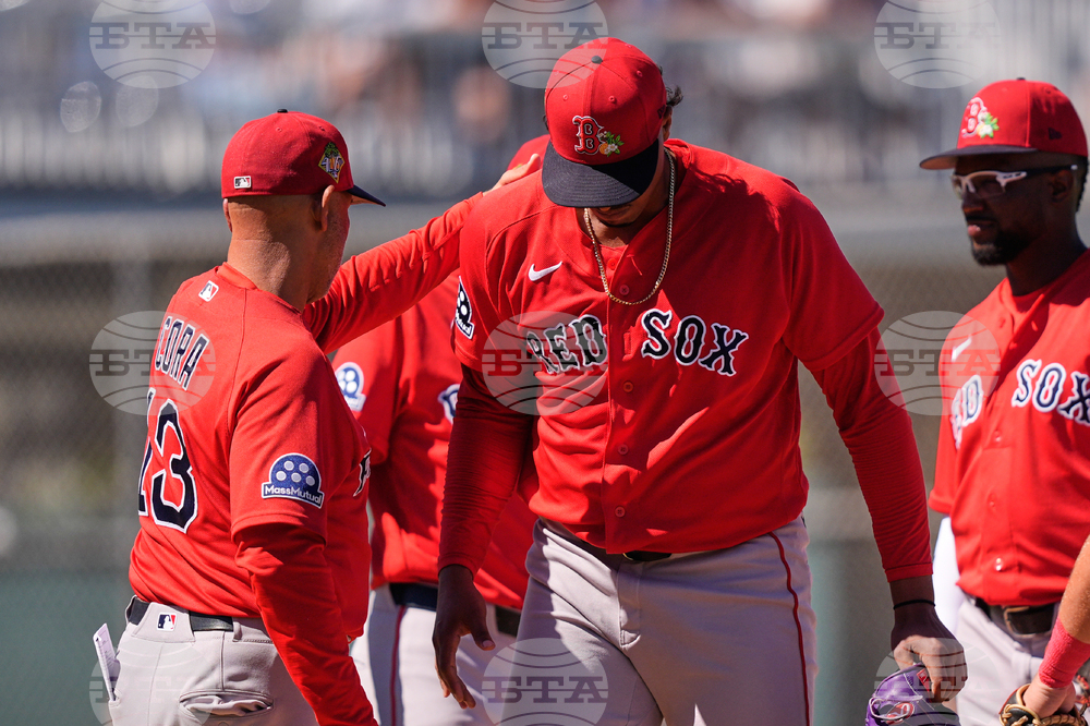 Red Sox Twins Spring Baseball