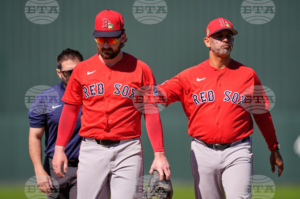 Red Sox Twins Spring Baseball