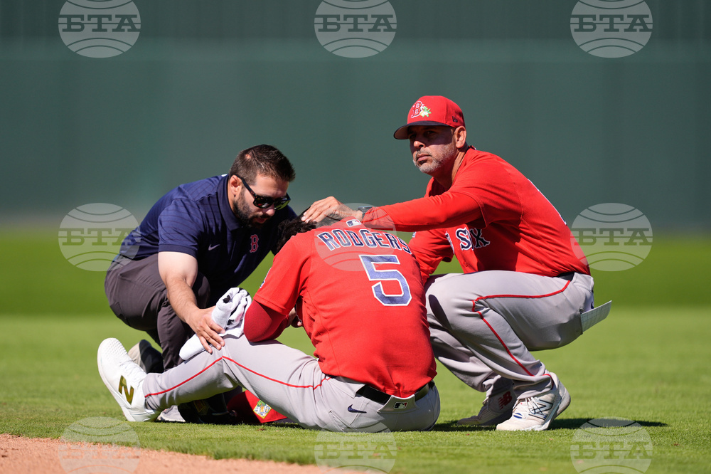 Red Sox Twins Spring Baseball