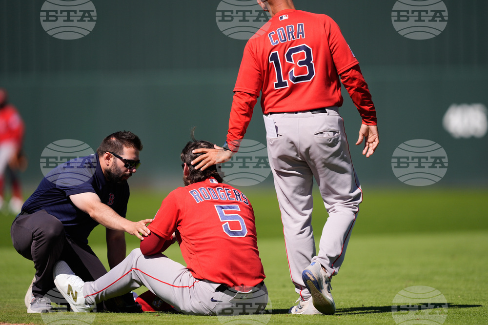 Red Sox Twins Spring Baseball