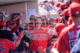 Red Sox Twins Spring Baseball