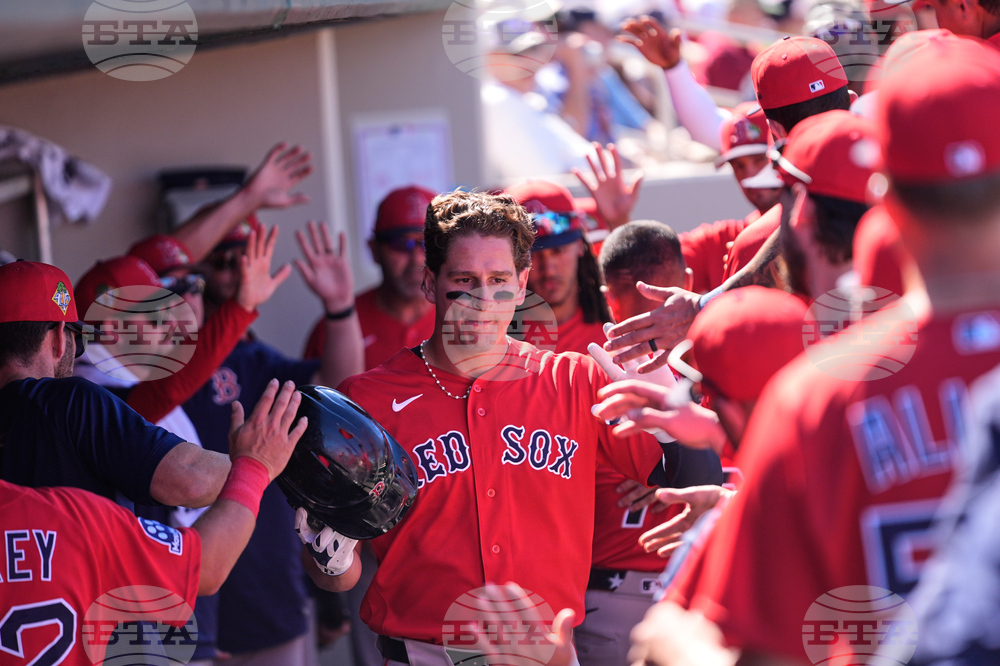 Red Sox Twins Spring Baseball