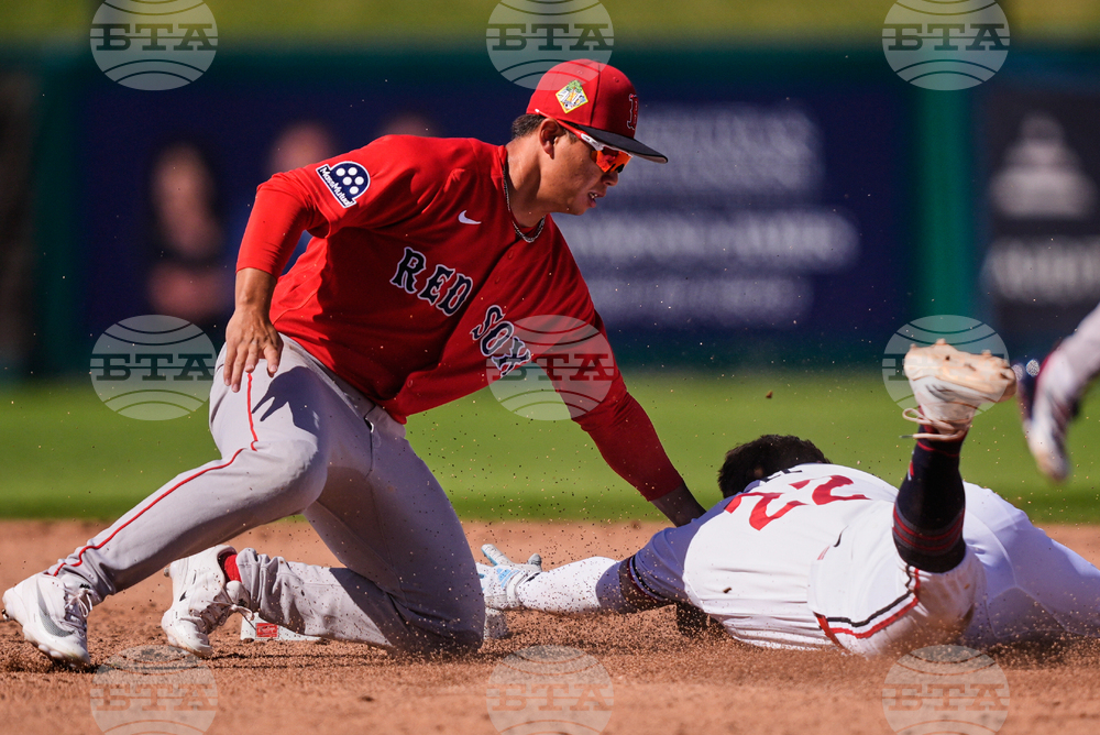Red Sox Twins Spring Baseball