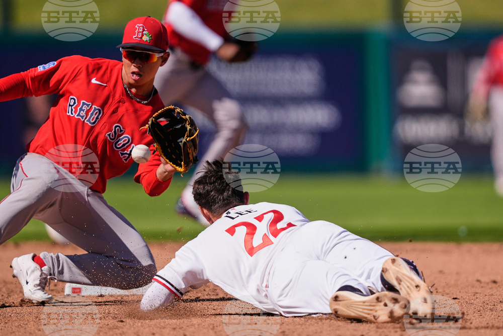 Red Sox Twins Spring Baseball