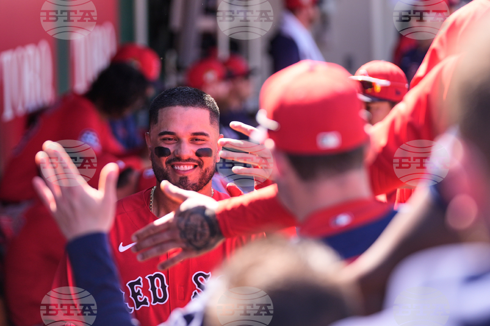 Red Sox Twins Spring Baseball