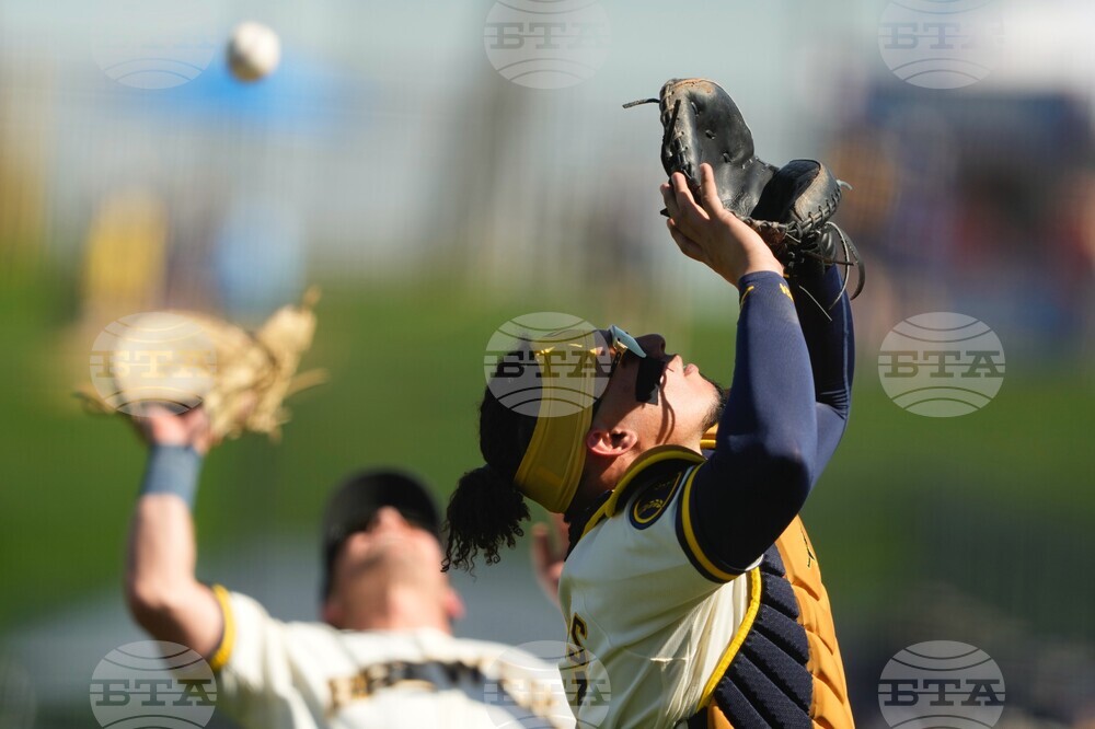 Giants Brewers Spring Baseball