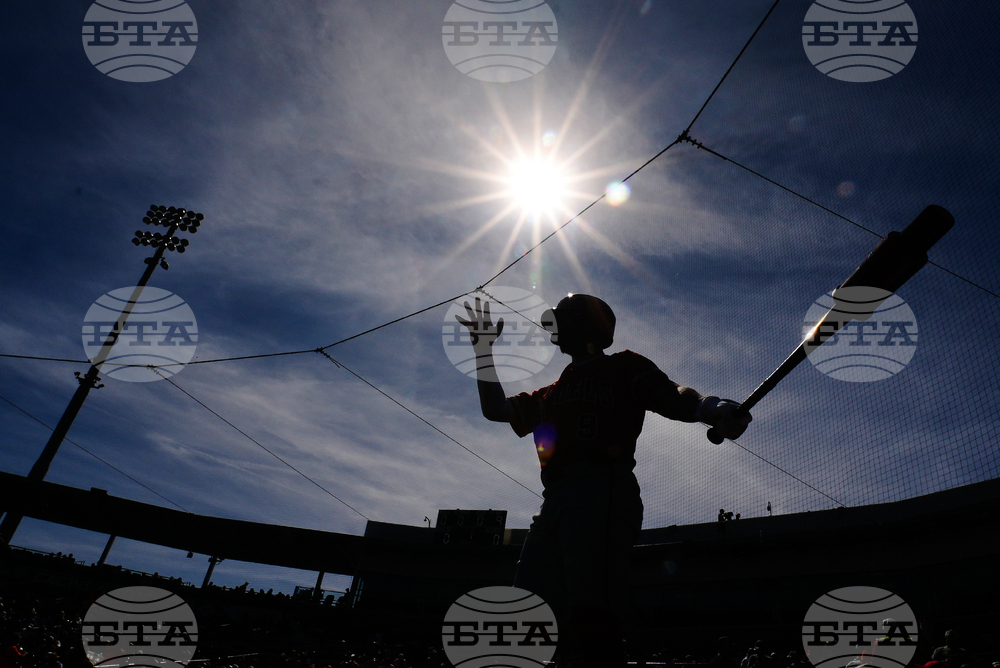 Angels Padres Spring Baseball