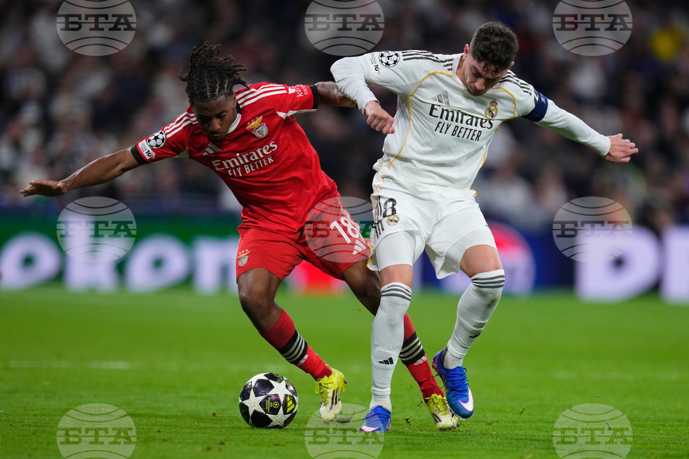 Spain Champions League Soccer