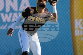 Angels Padres Spring Baseball