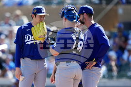 Dodgers Diamondbacks Spring Baseball