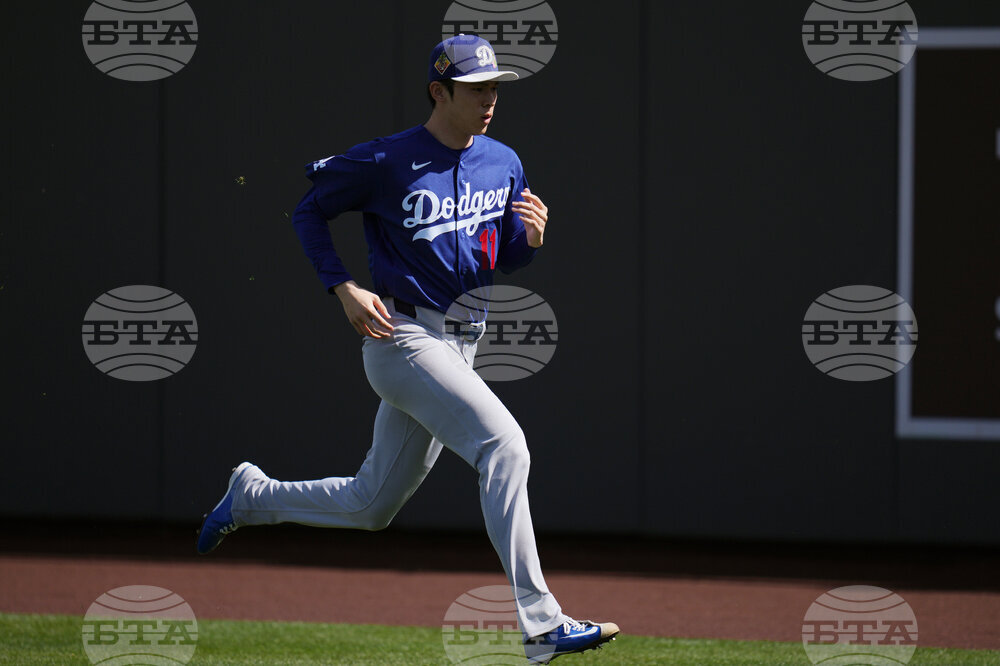 Dodgers Diamondbacks Spring Baseball