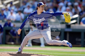 Dodgers Diamondbacks Spring Baseball