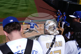 Dodgers Diamondbacks Spring Baseball