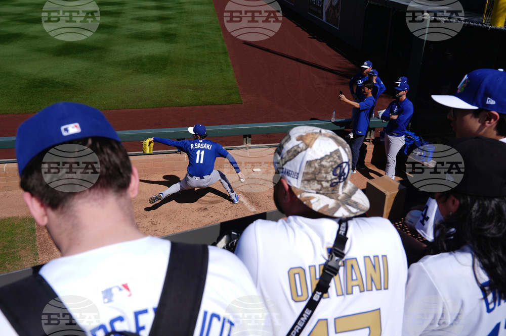 Dodgers Diamondbacks Spring Baseball